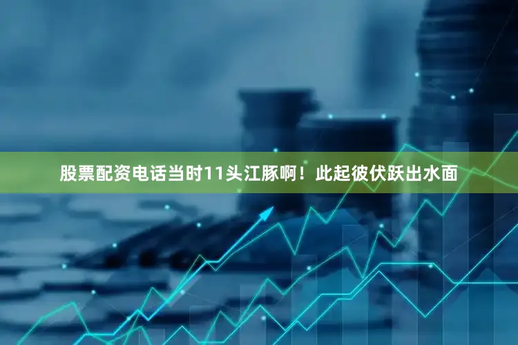 股票配资电话当时11头江豚啊！此起彼伏跃出水面