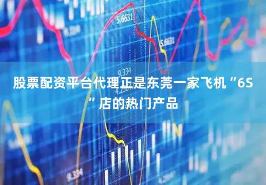 股票配资平台代理正是东莞一家飞机“6S”店的热门产品