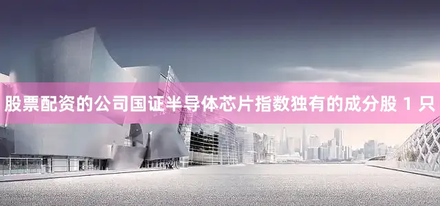 股票配资的公司国证半导体芯片指数独有的成分股 1 只