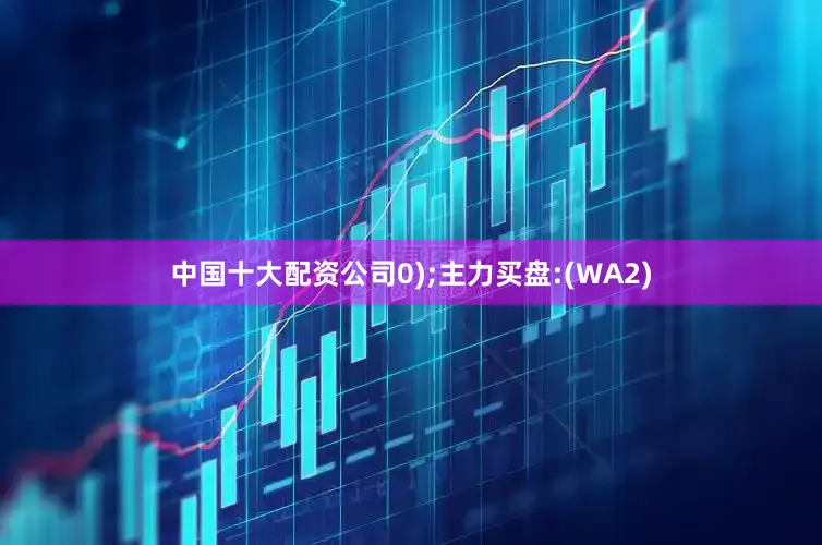 中国十大配资公司0);主力买盘:(WA2)